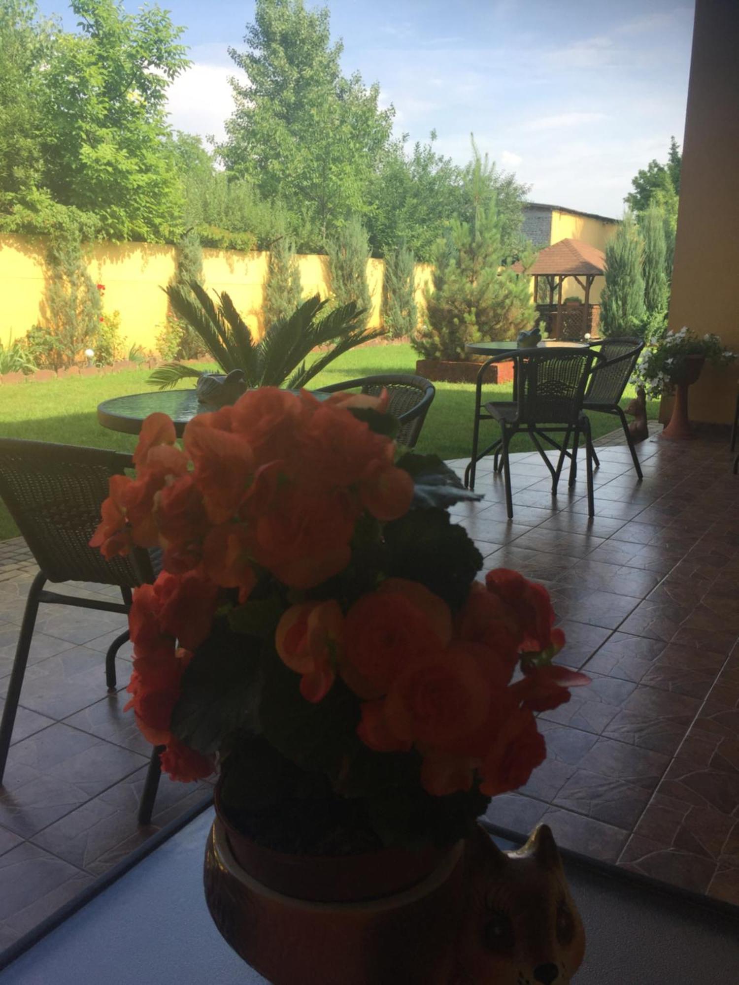 Villa Fenix Berehove  Extérieur photo
