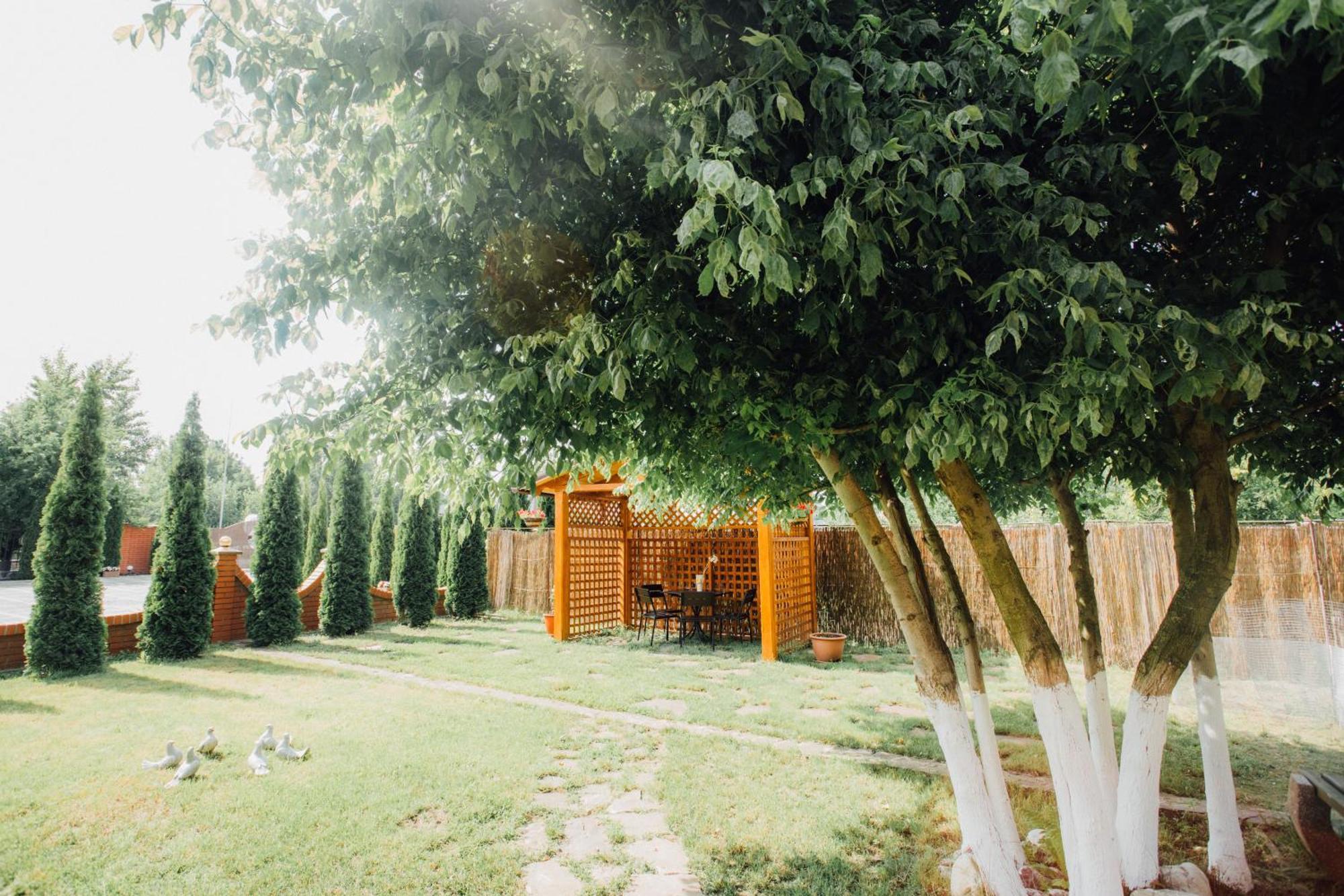 Villa Fenix Berehove  Extérieur photo