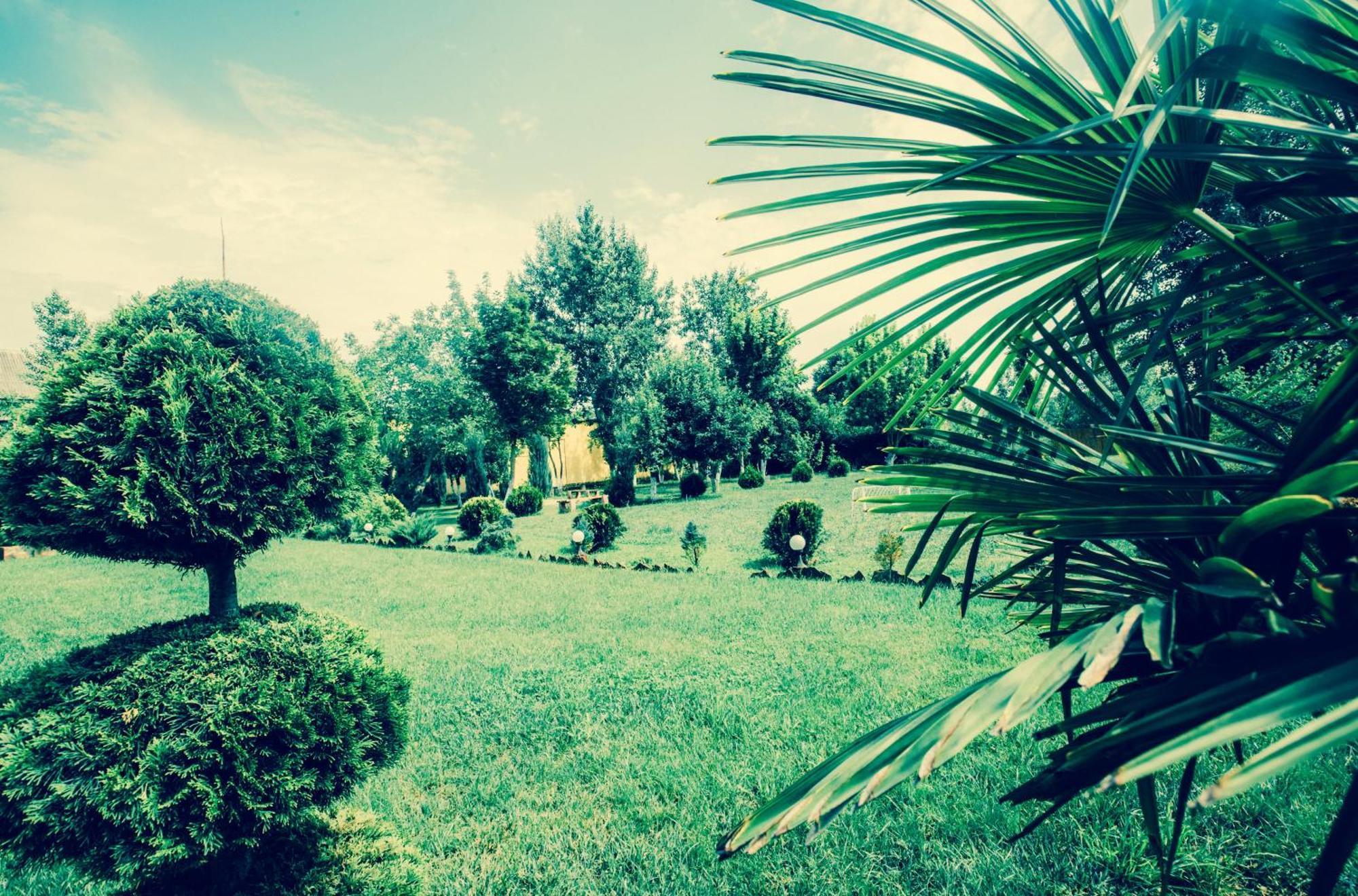Villa Fenix Berehove  Extérieur photo