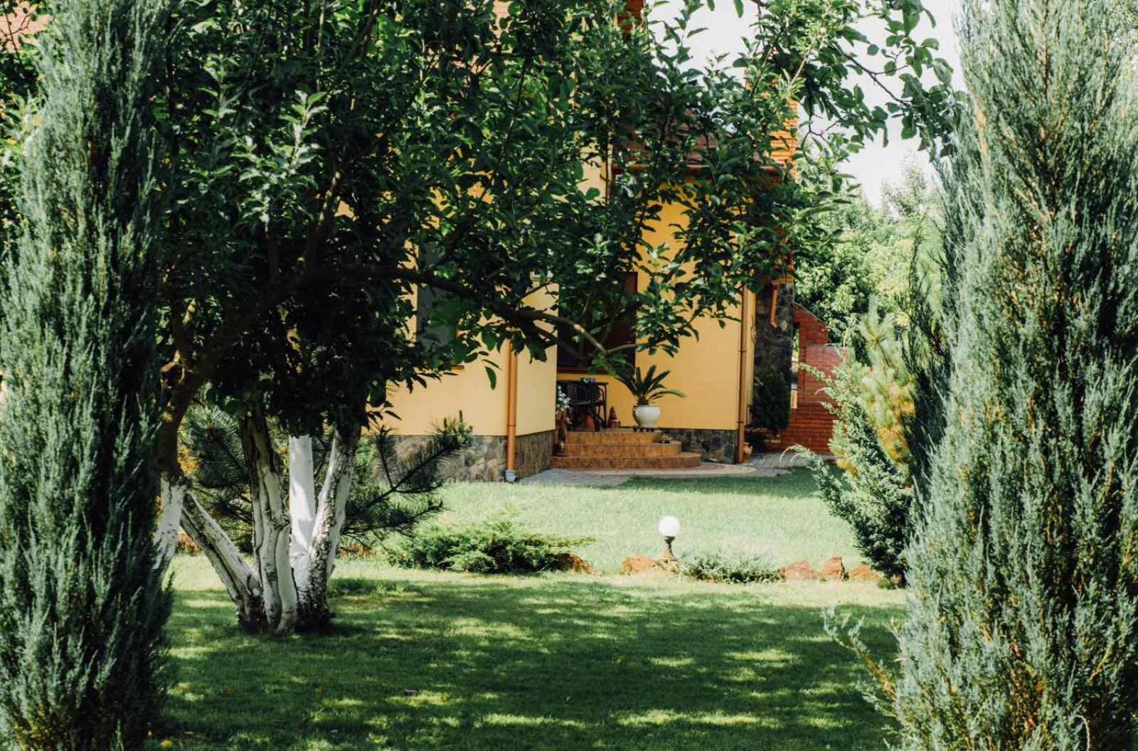 Villa Fenix Berehove  Extérieur photo